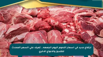 ارتفاع جديد في أسعار اللحوم اليوم الجمعة.. تعرف على السعر المحدث للكندوز والأنواع الأخرى